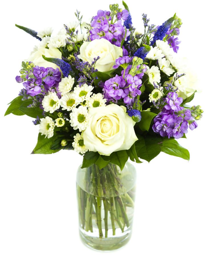 Elegant Creams & Purples