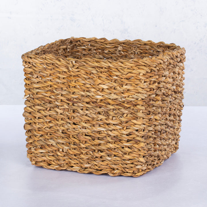 Decadent Chocolate Delights