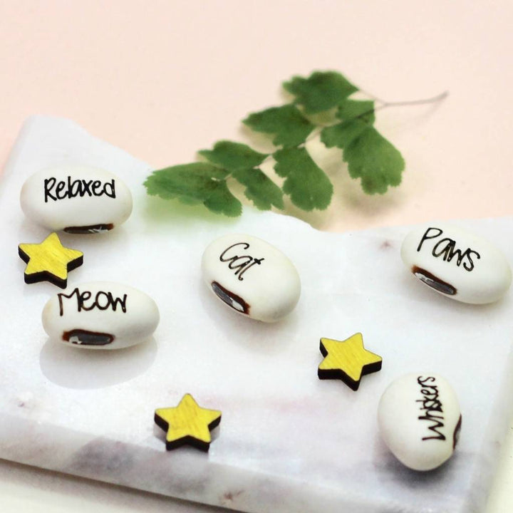 Magic Crazy Cat Lady Bean Grow Set