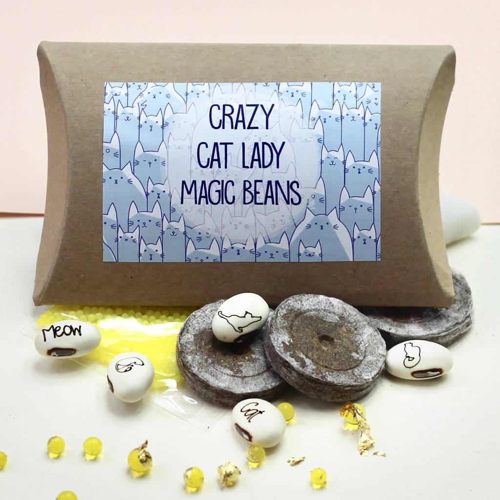 Magic Crazy Cat Lady Bean Grow Set
