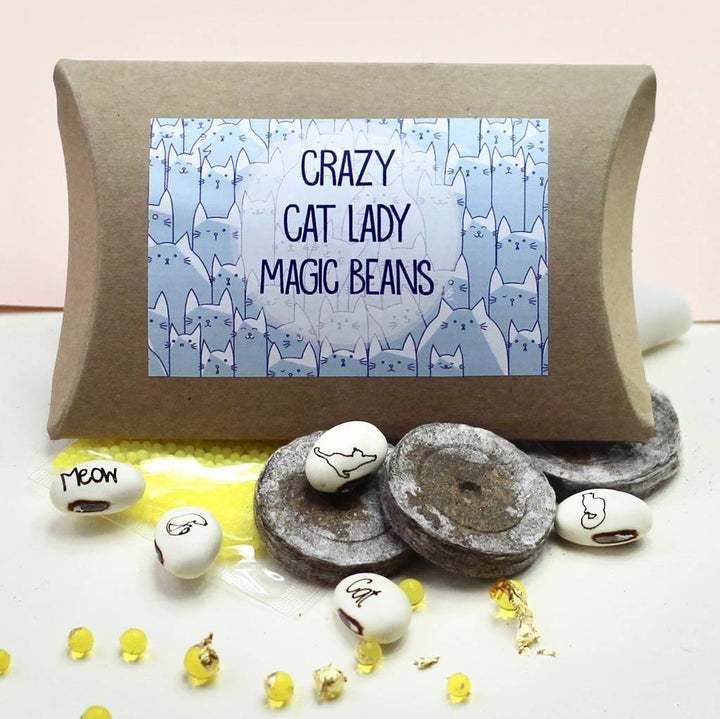 Magic Crazy Cat Lady Bean Grow Set