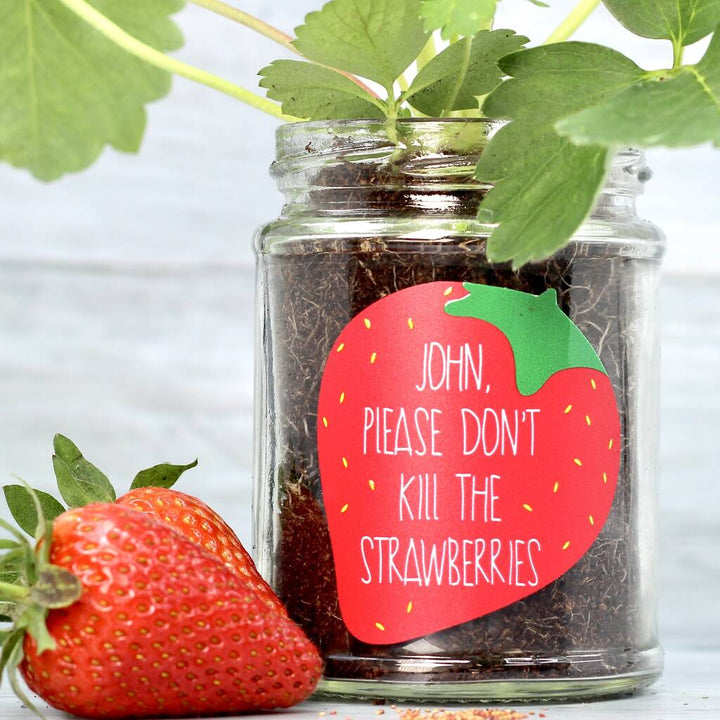 Personalised 'Don't Kill Me' Strawberry Jar Grow Kit