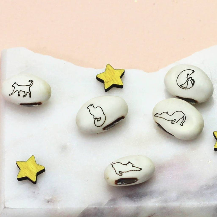 Magic Crazy Cat Lady Bean Grow Set