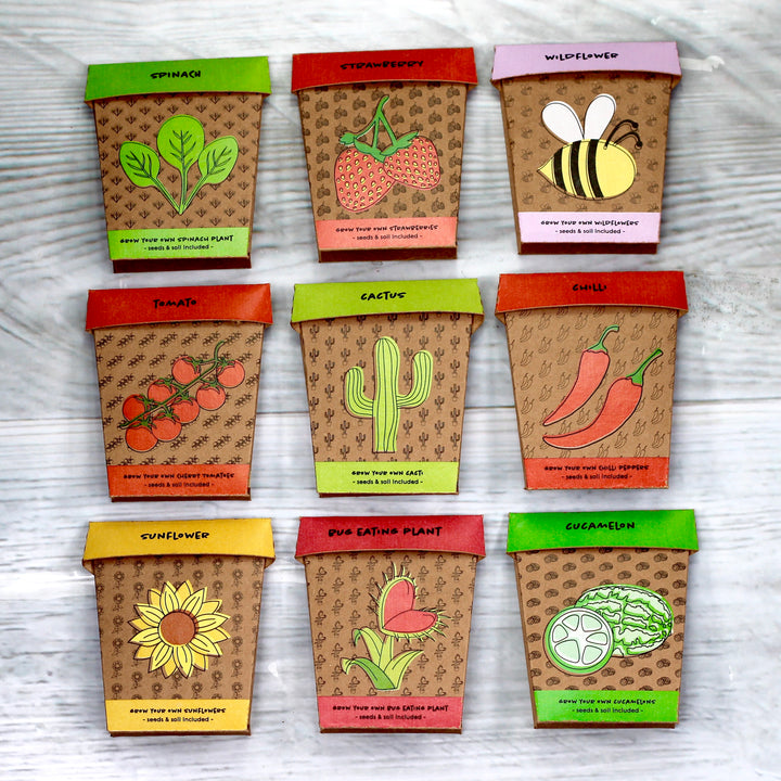 Hot Stuff Chilli Grow Pot Kit