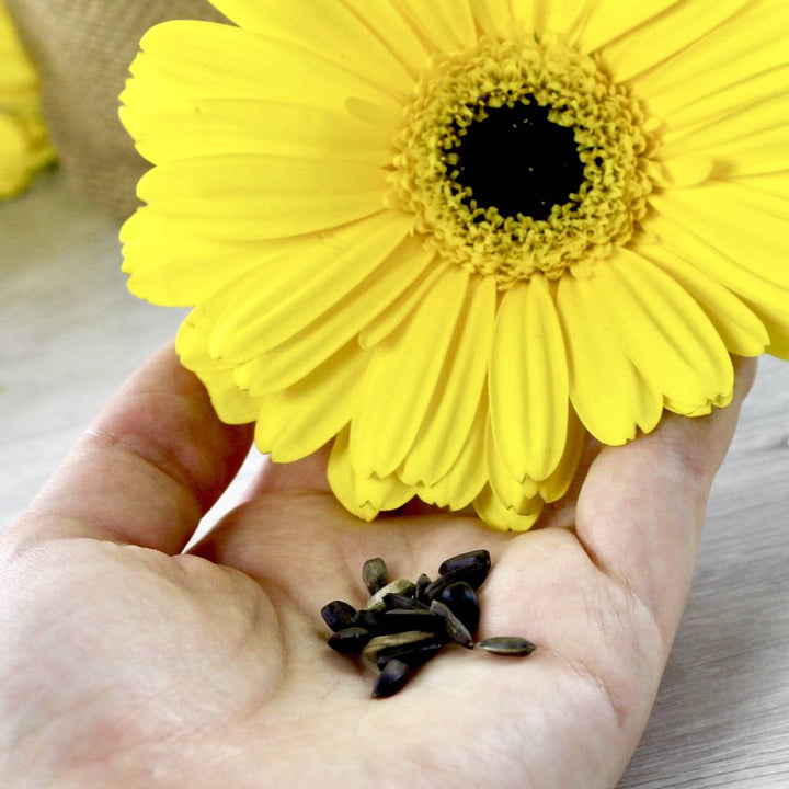 Happy Sunflower Jute Bag Grow Set