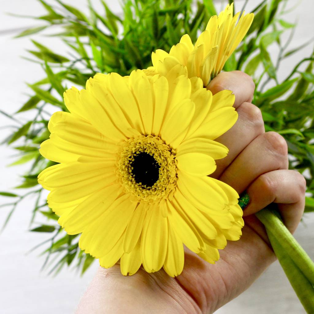 Happy Sunflower Jute Bag Grow Set