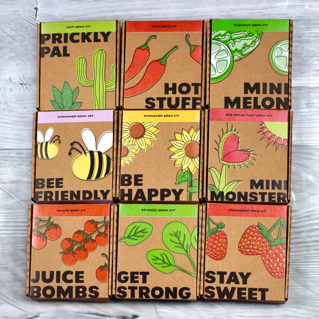 Hot Stuff Chilli Grow Pot Kit