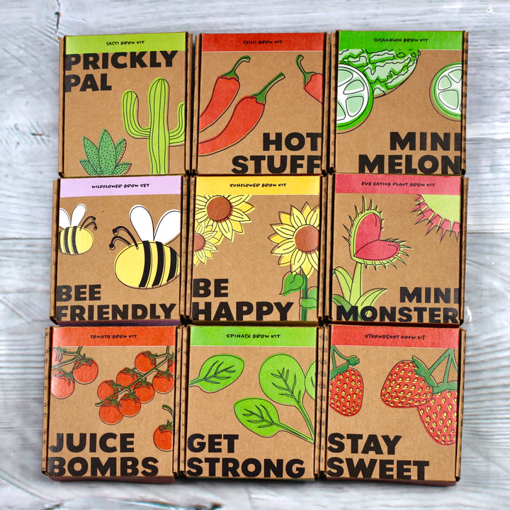 Hot Stuff Chilli Grow Pot Kit