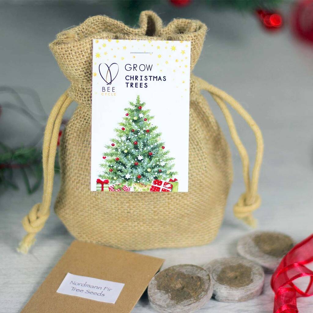 Grow A Merry Christmas Tree Jute Set