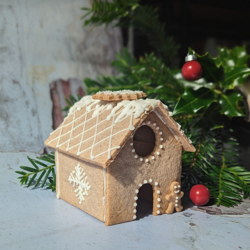 Gingerbread House DIY Kit