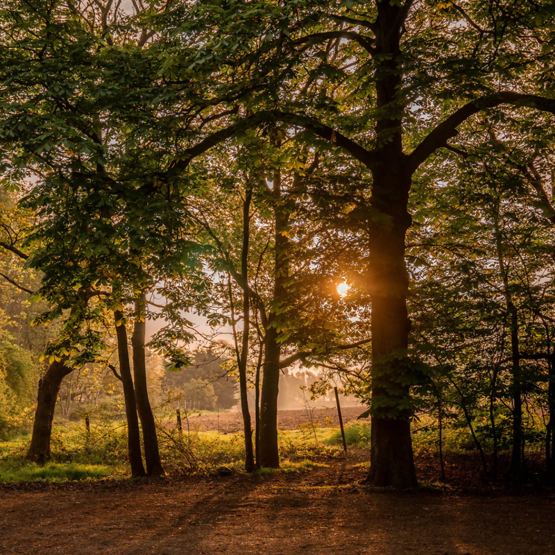 Home Farm Glamping