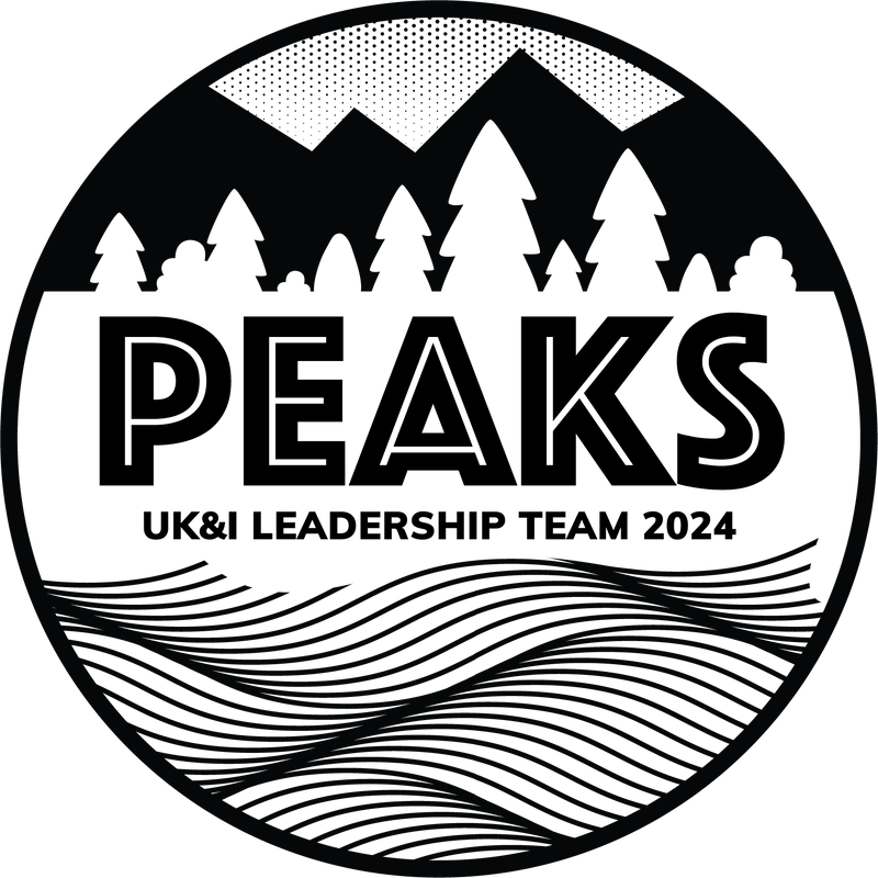 Stylish Peaks Notebooks