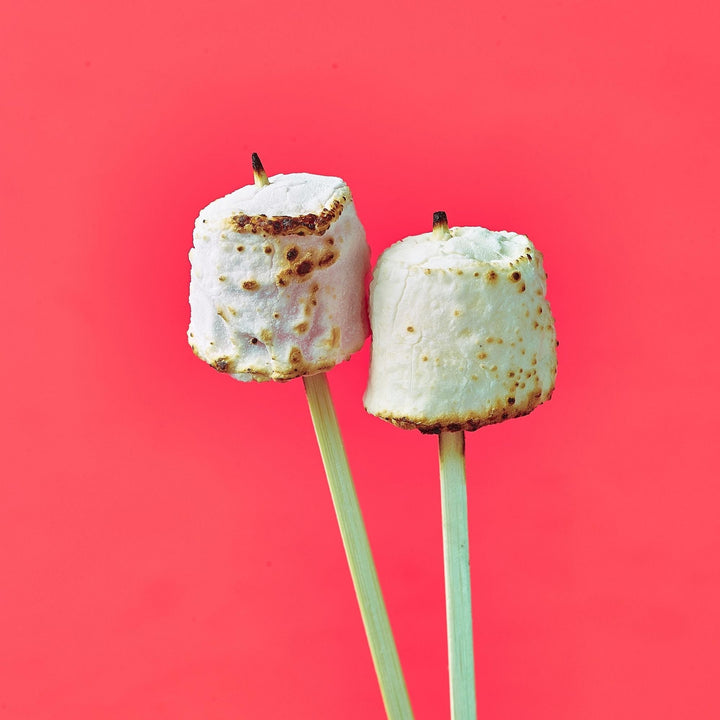 The S'Mores Kit