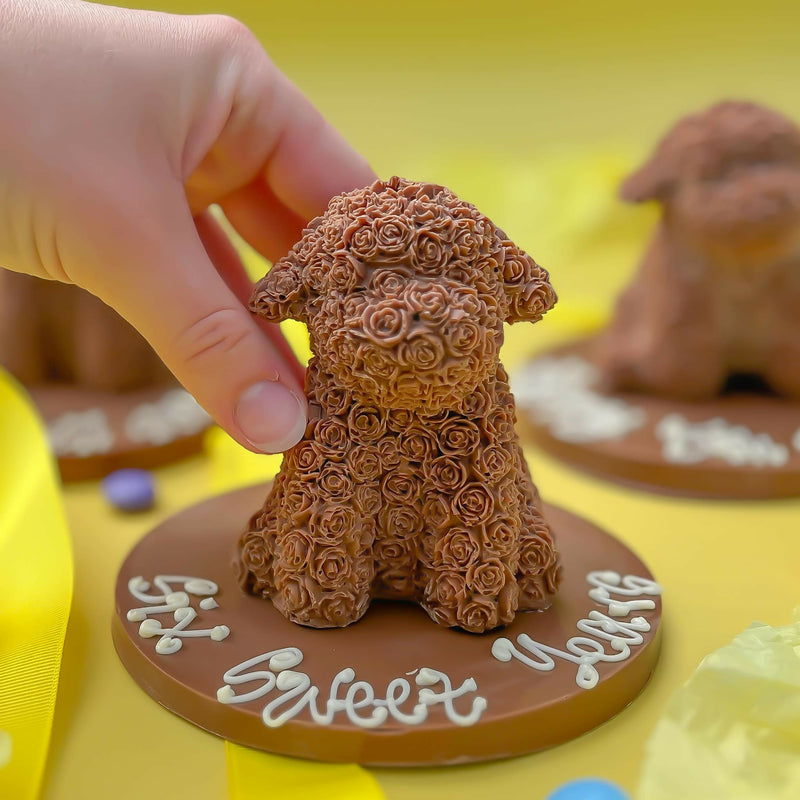 Chocolate Smash Dog