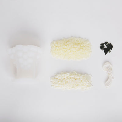 Bee and Bumble Candle Making Kit