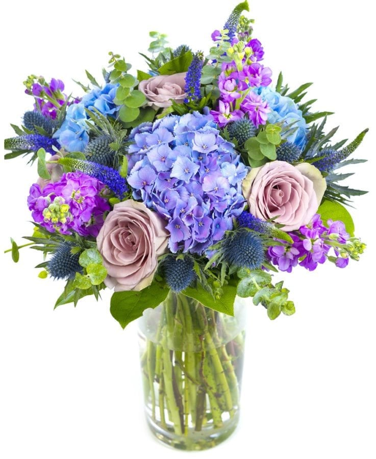 Elegant Blues & Purples