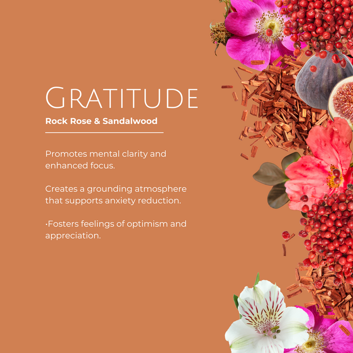 Gratitude Luxury Candle – Rock Rose & Sandalwood