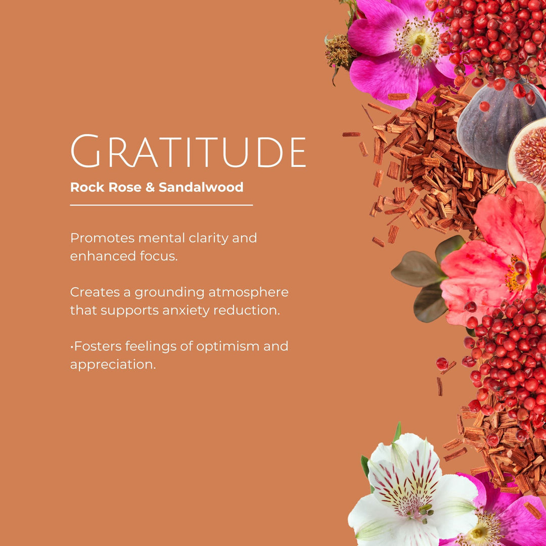 Gratitude Luxury Reed Diffuser – Rock Rose & Sandalwood
