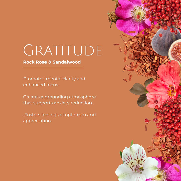 Gratitude Luxury Reed Diffuser – Rock Rose & Sandalwood