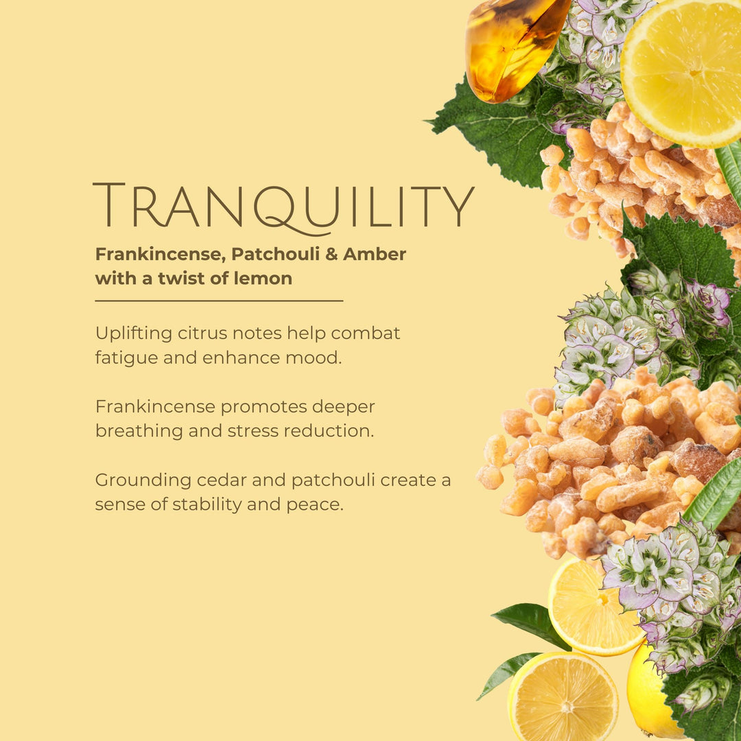 Tranquillity Luxury Reed Diffuser – Frankincense, Patchouli & Amber
