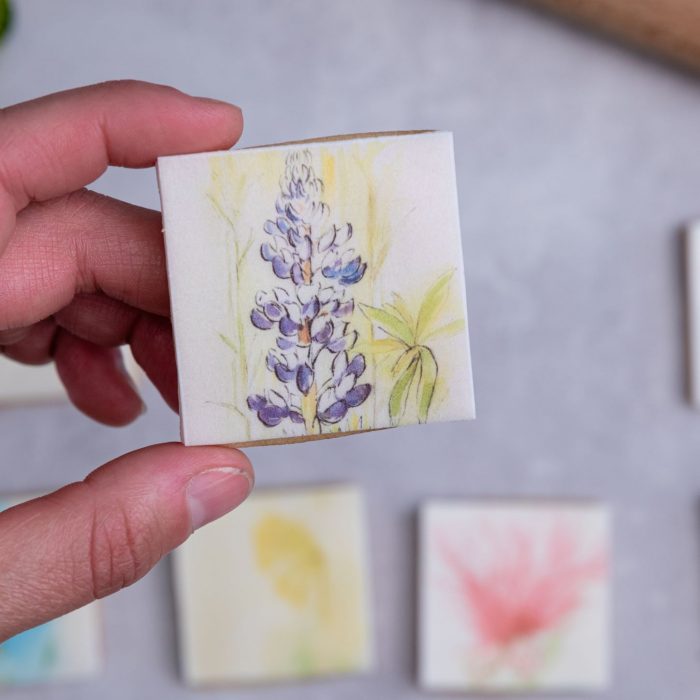 Flower Biscuits