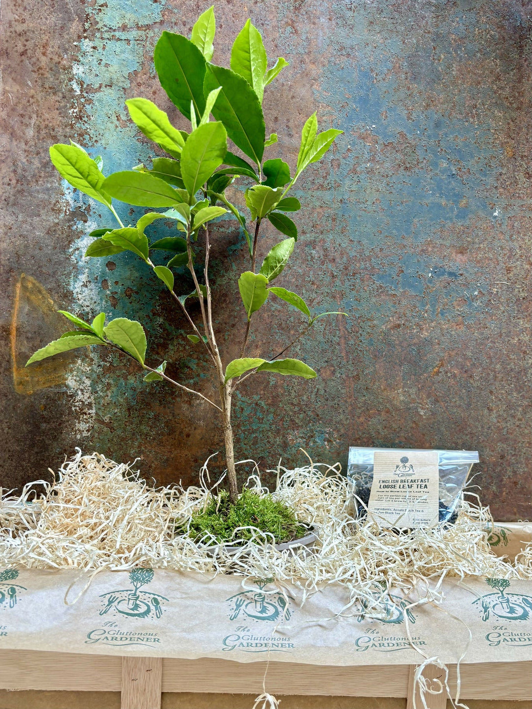 The Tea Crate Gift Set