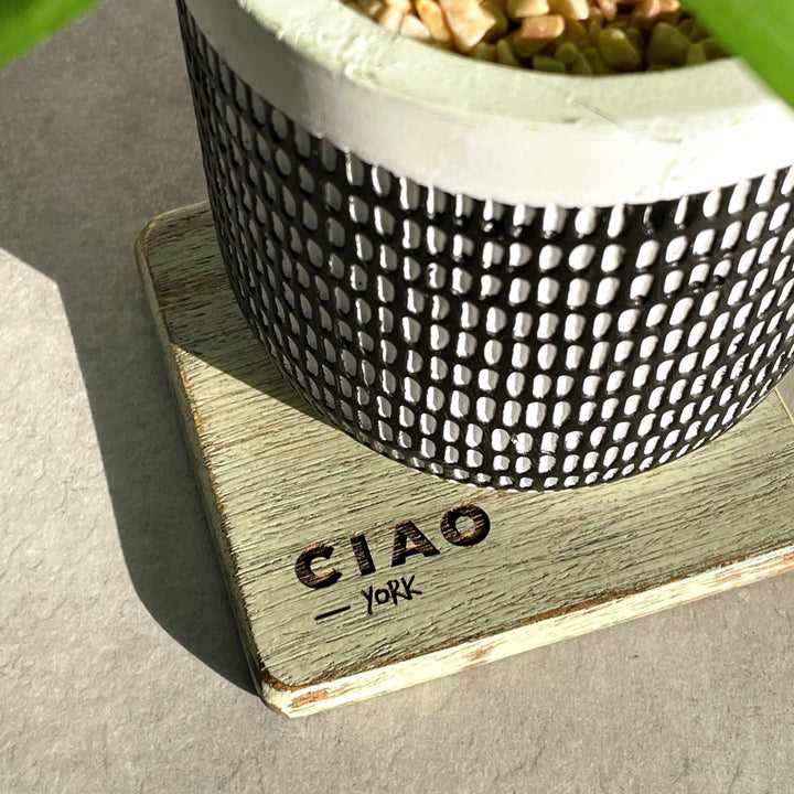 Rustic Coastal Wooden Coasters