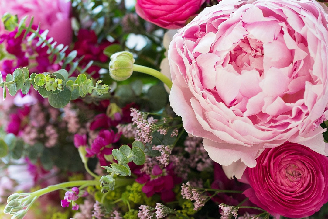 Peonies Bouquet