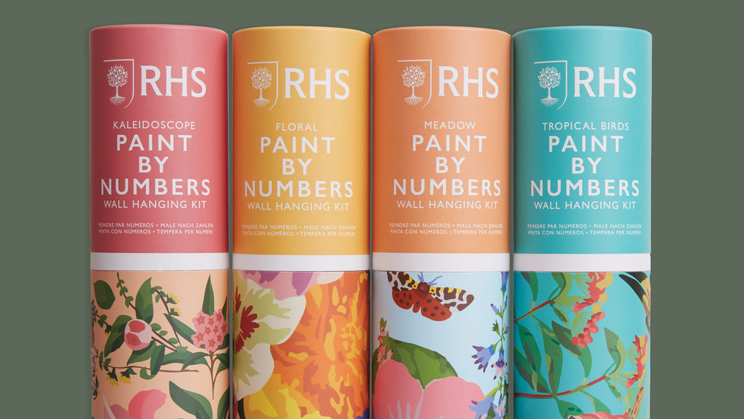 RHS Tropical Birds Paint By Numbers Kit