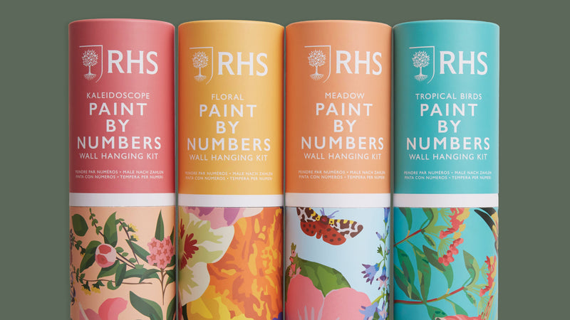 RHS Tropical Birds Paint By Numbers Kit