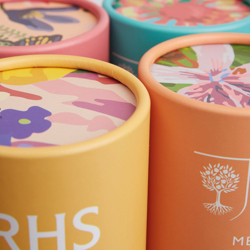 RHS Tropical Birds Paint By Numbers Kit
