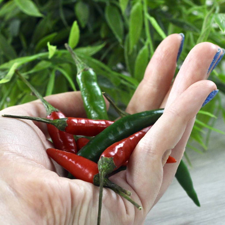 Personalised 'Don't Kill Me' Chilli Jar Grow Kit