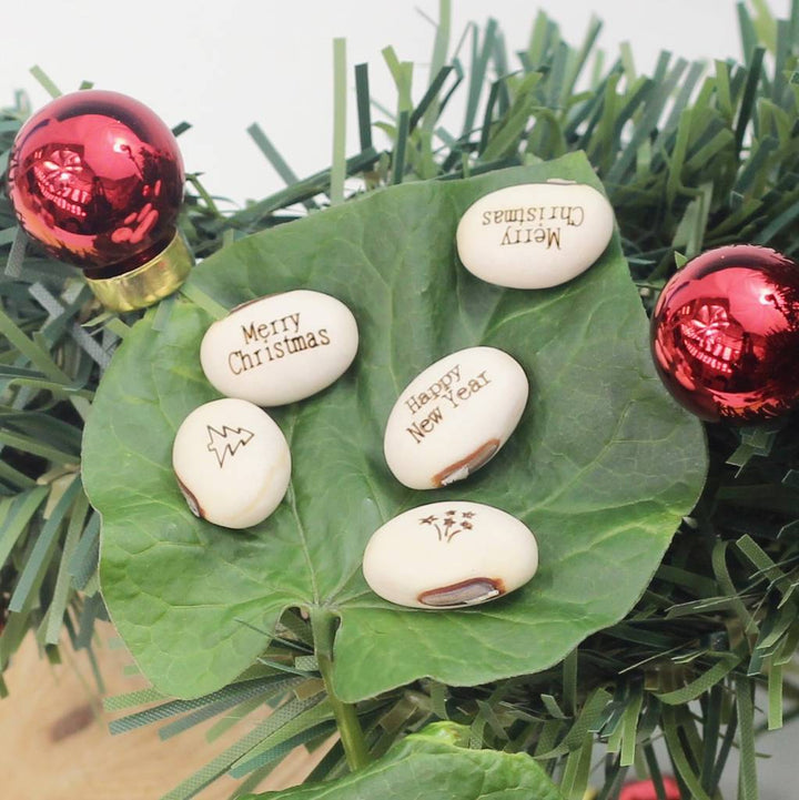 Pack Of Five Message Beanstalk Seeds