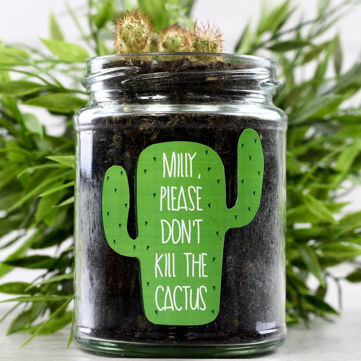 Personalised 'Don't Kill Me' Cactus Jar Grow Kit