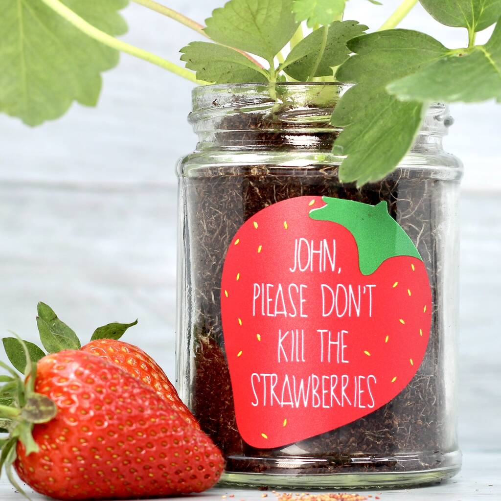 Personalised 'Don't Kill Me' Strawberry Jar Grow Kit