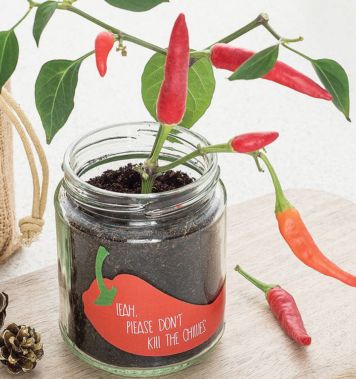 Personalised 'Don't Kill Me' Chilli Jar Grow Kit