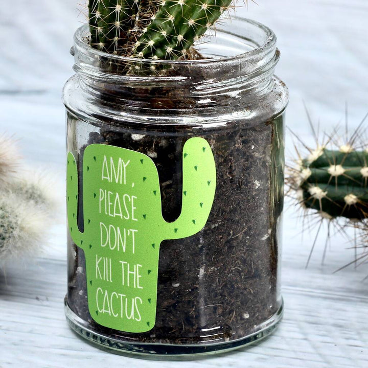 Personalised 'Don't Kill Me' Cactus Jar Grow Kit