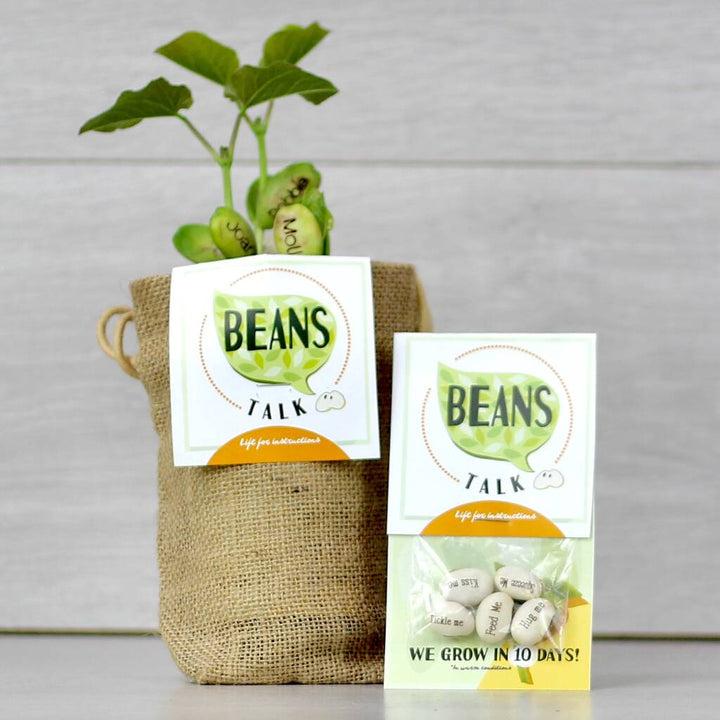 Pack Of Five Message Beanstalk Seeds