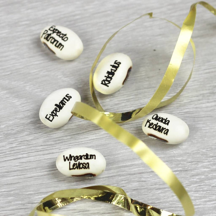 Magic Wizard Bean Grow Set
