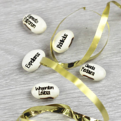 Magic Wizard Bean Grow Set