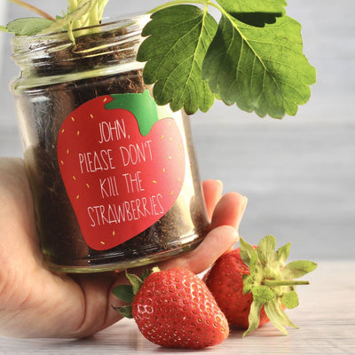 Personalised 'Don't Kill Me' Strawberry Jar Grow Kit