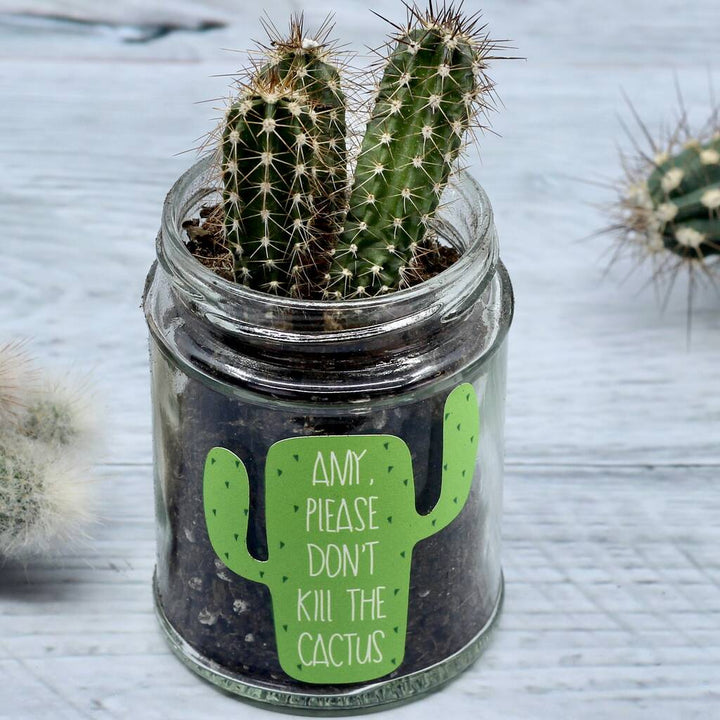 Personalised 'Don't Kill Me' Cactus Jar Grow Kit