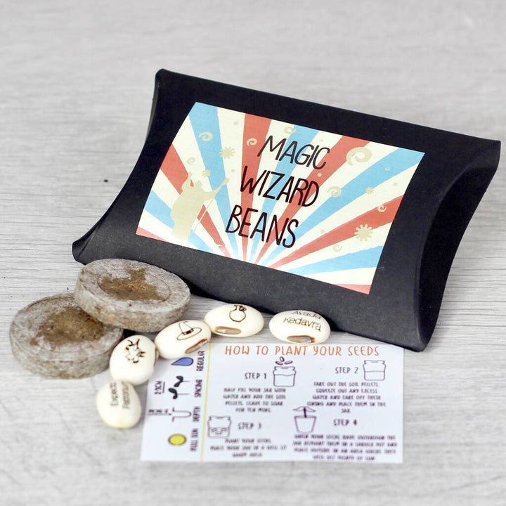 Magic Wizard Bean Grow Set