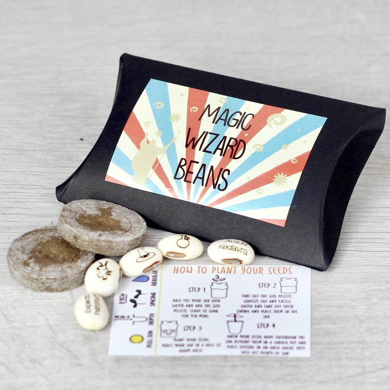 Magic Wizard Bean Grow Set