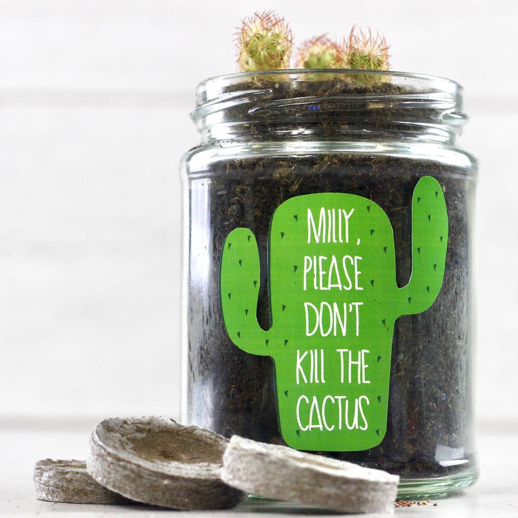 Personalised 'Don't Kill Me' Cactus Jar Grow Kit