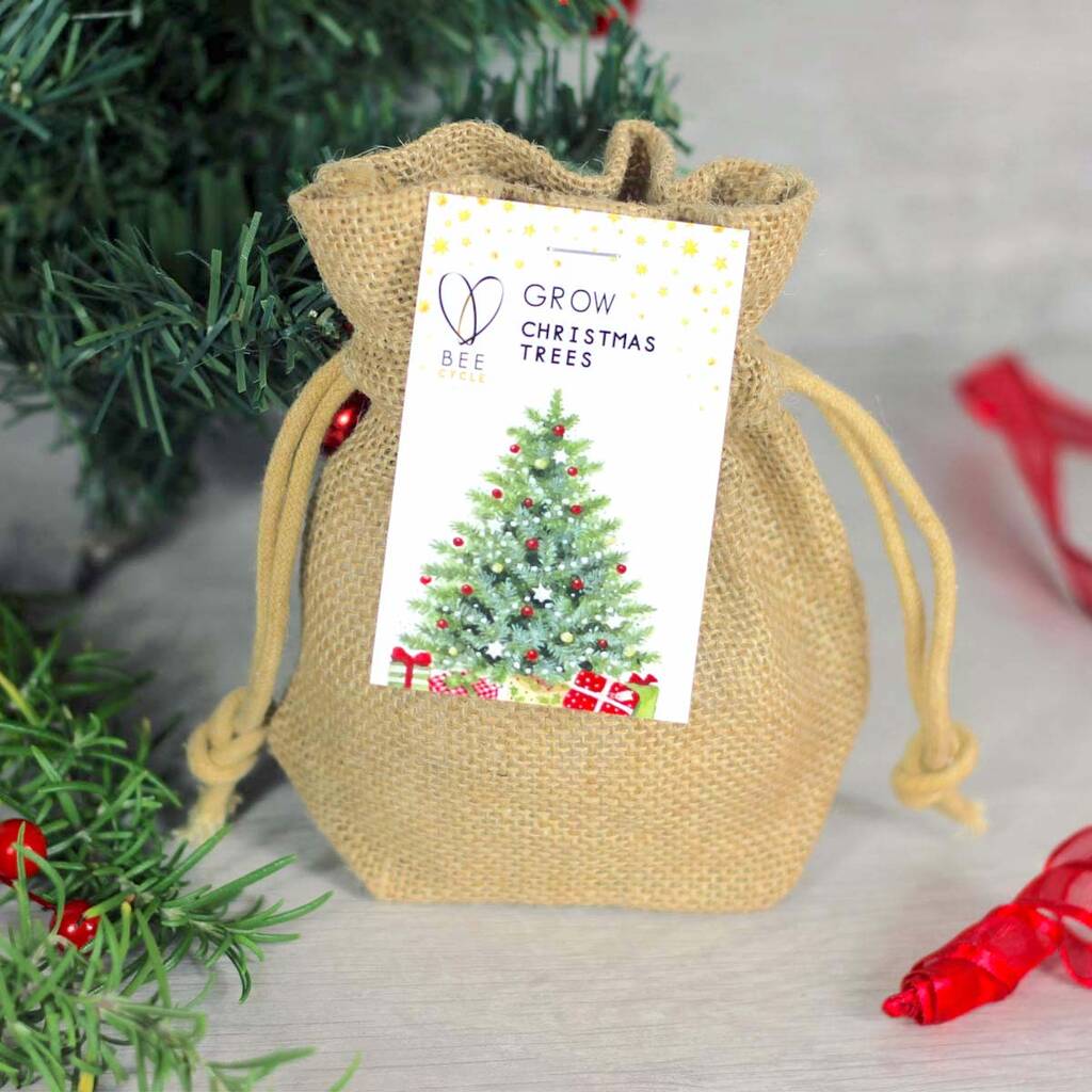 Grow A Merry Christmas Tree Jute Set