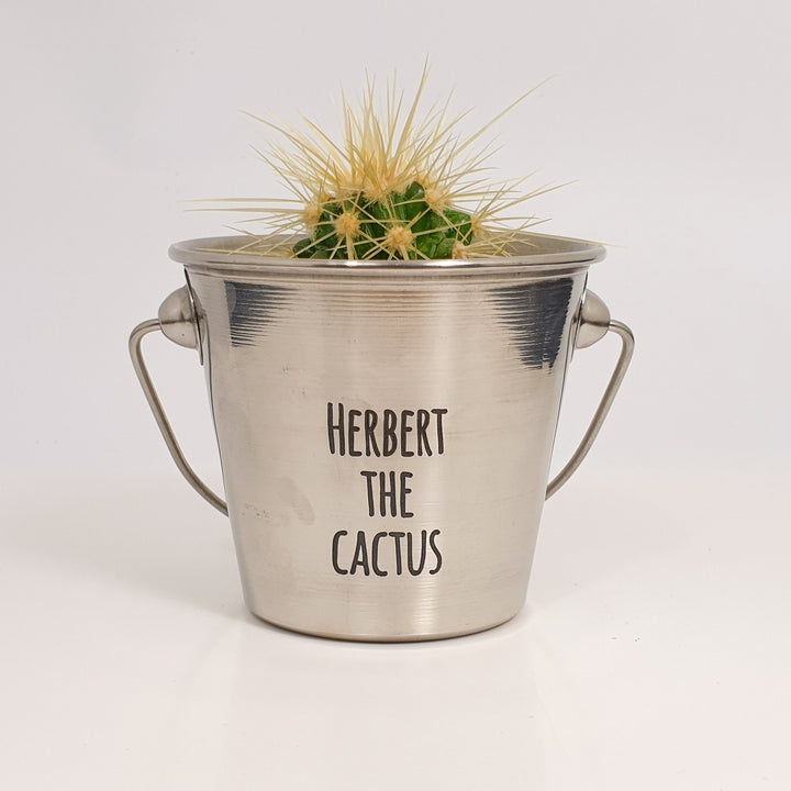 Chic Personalised Metal Plant Pot