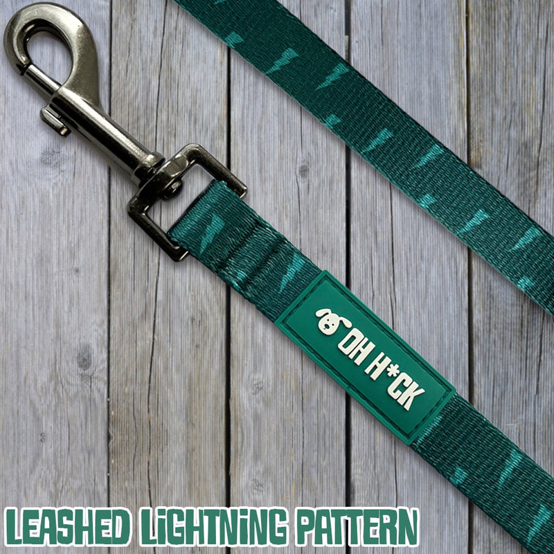 Eco-Friendly Dog Leads l Leash made from 100% Recycled Plastic Bottles