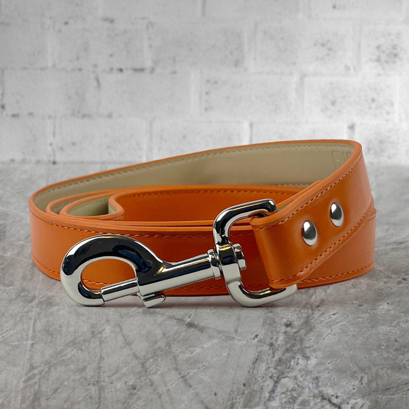 Eco-friendly Vegan Leather Dog Leads