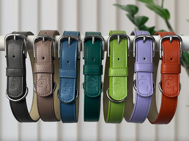 Colourful Vegan Eco Dog Collar